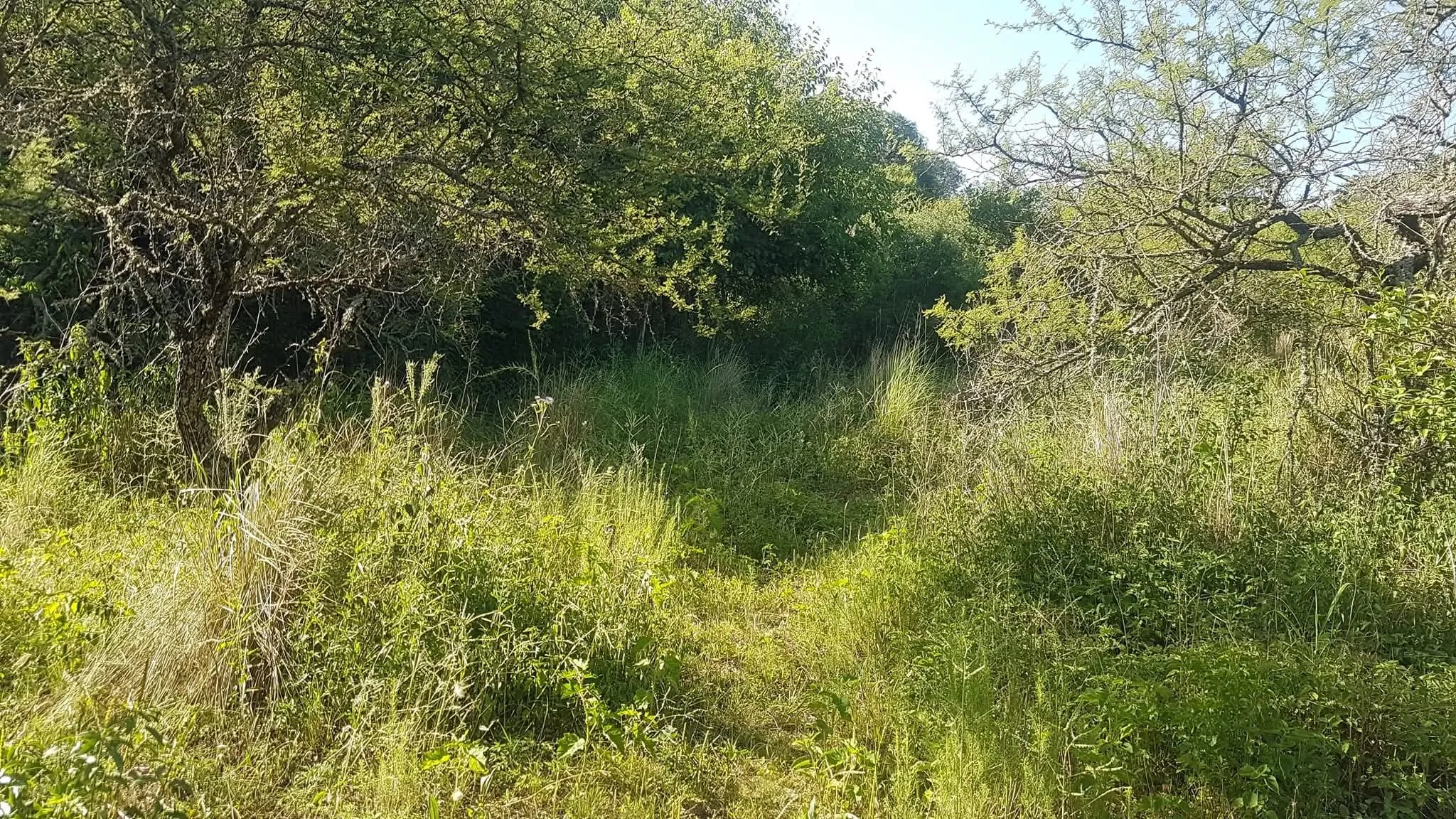 VENDO A PRECIO DE REMATE LOTE EN CORRAL QUEMADO, LA GRANJA, 1458MTS2