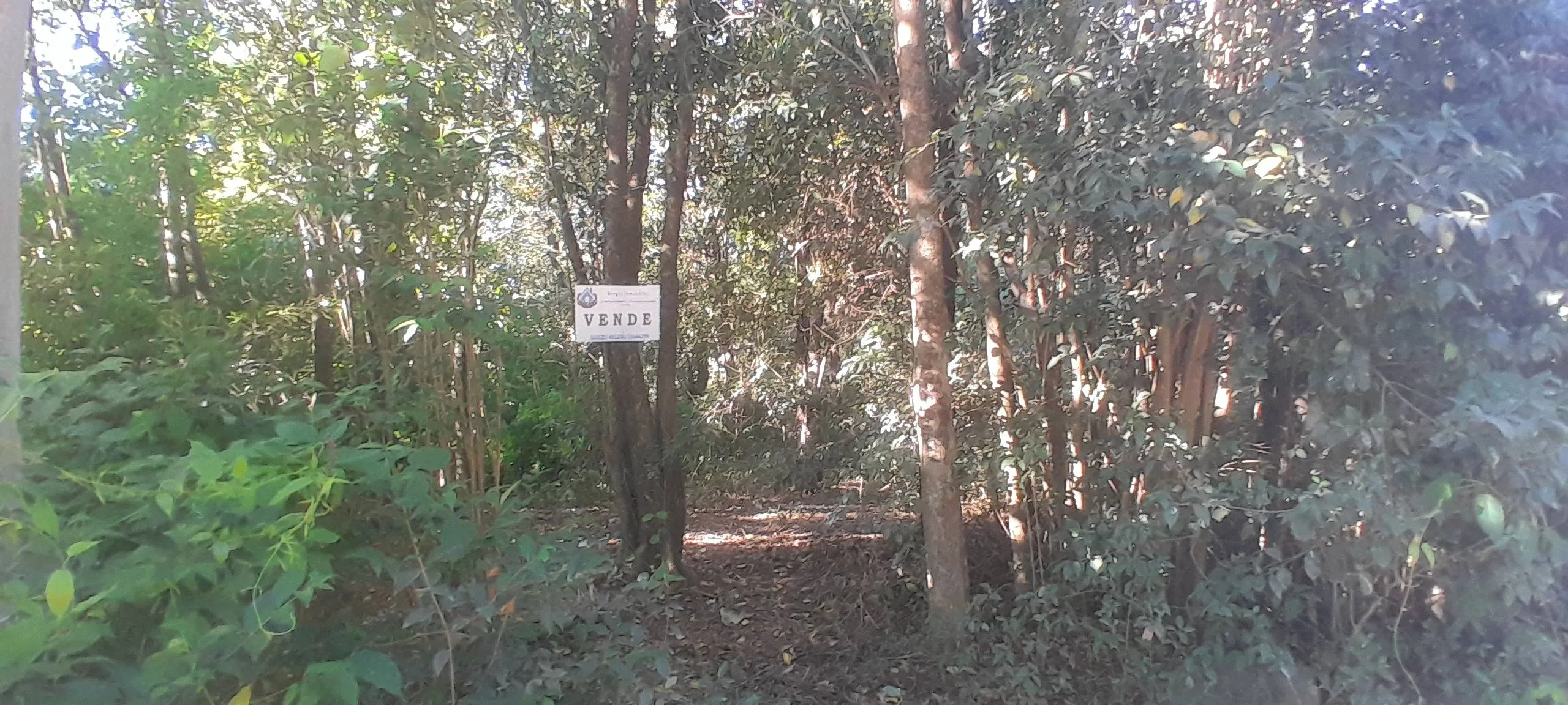 VENDO VILLA ANIMI DOS LOTES A 30 MTS DE LA RUTA E 53 LA GRANJA