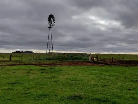 Venta campo 297has mixto  - buenos aires