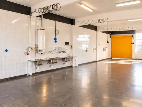 Planta alimenticia lista para producir 360/420mta