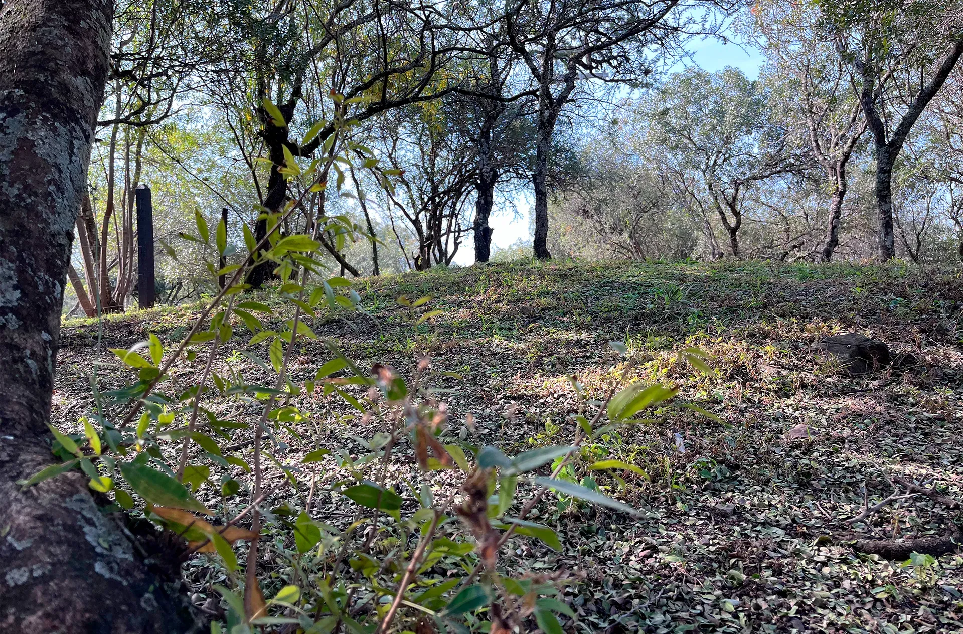 Vendo terreno Agua de Oro Córdoba Villa El Rosal