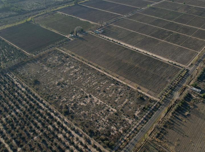 Campo · 150m²