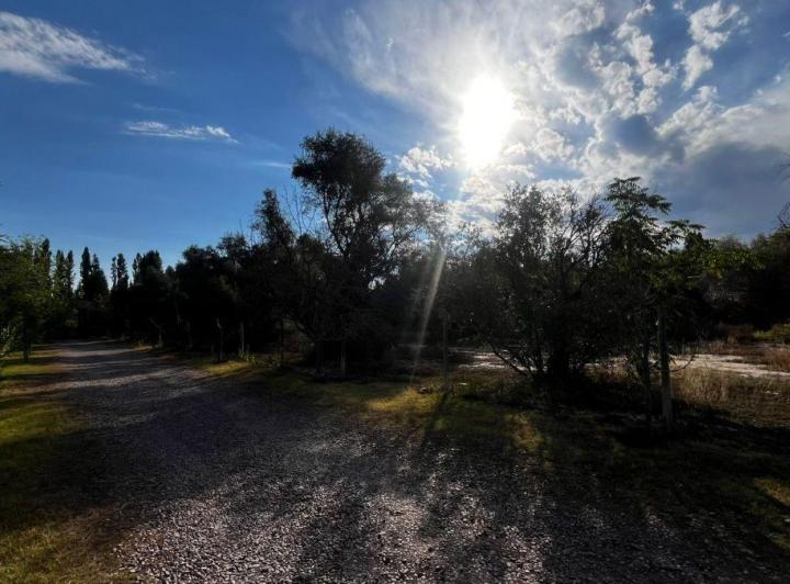 Terreno · 1000m²