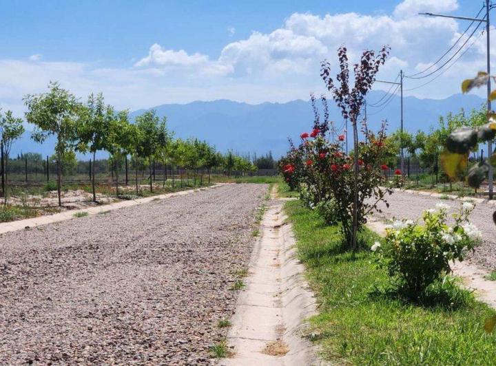 Terreno · 900m²