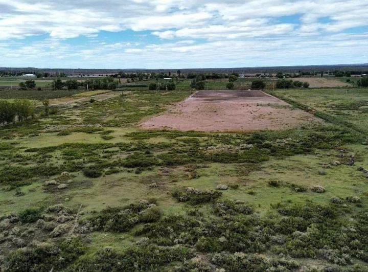 Campo · 31m²