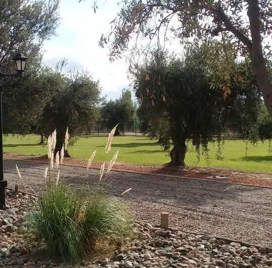 Terreno · 500m²