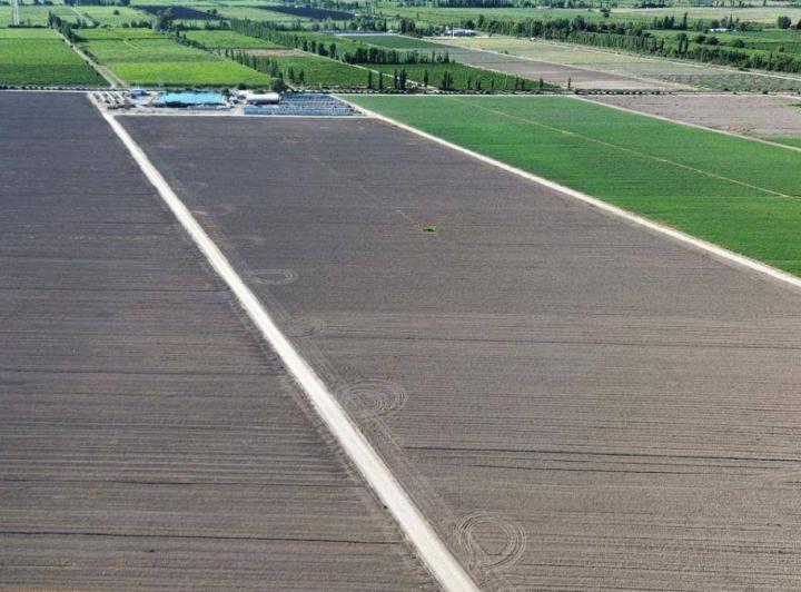 Campo · 49m²