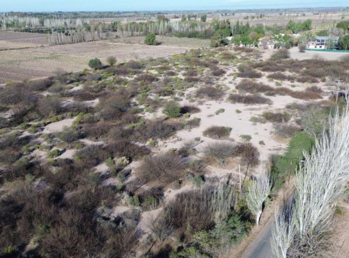 Terreno · 50466m²