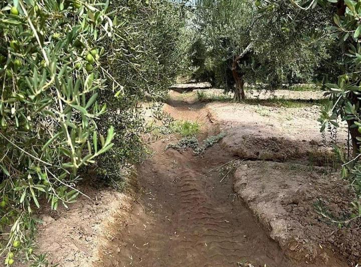 Campo · 18m²