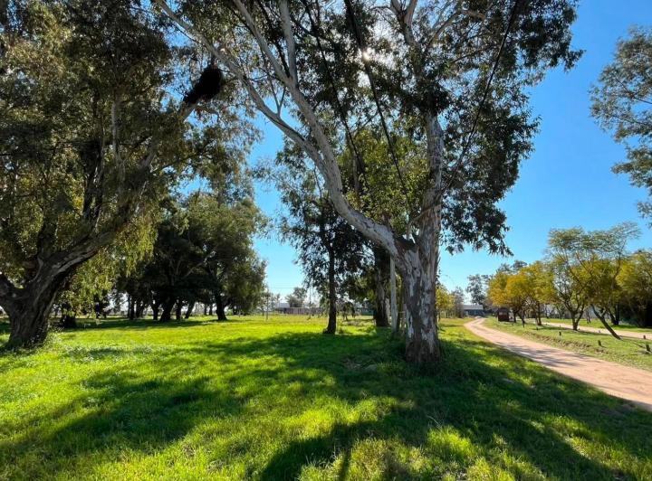 Terreno · 804m²