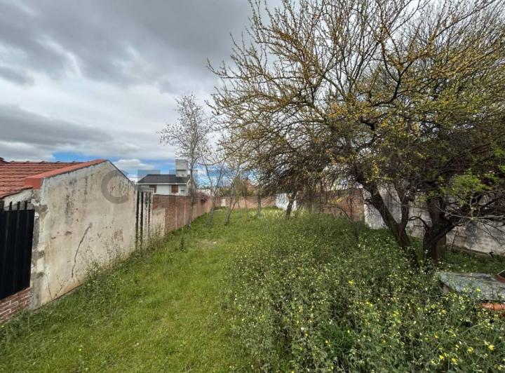 Terreno · 317m²