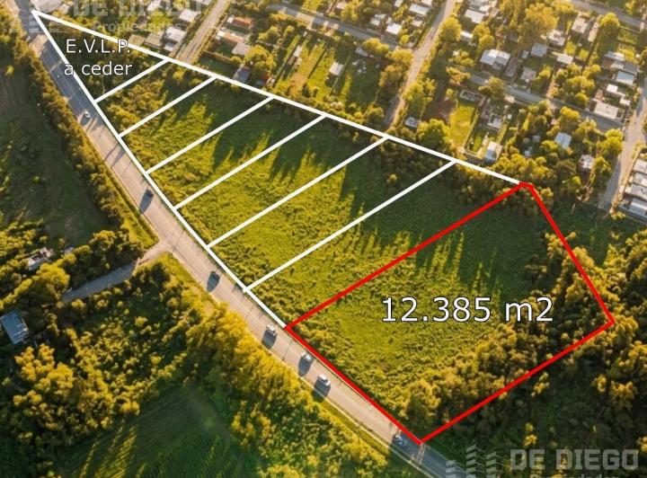 Terreno · 12385m²