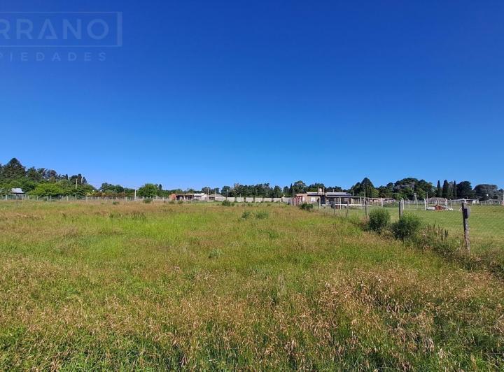 Terreno · 1500m²