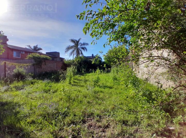 Terreno · 552m²