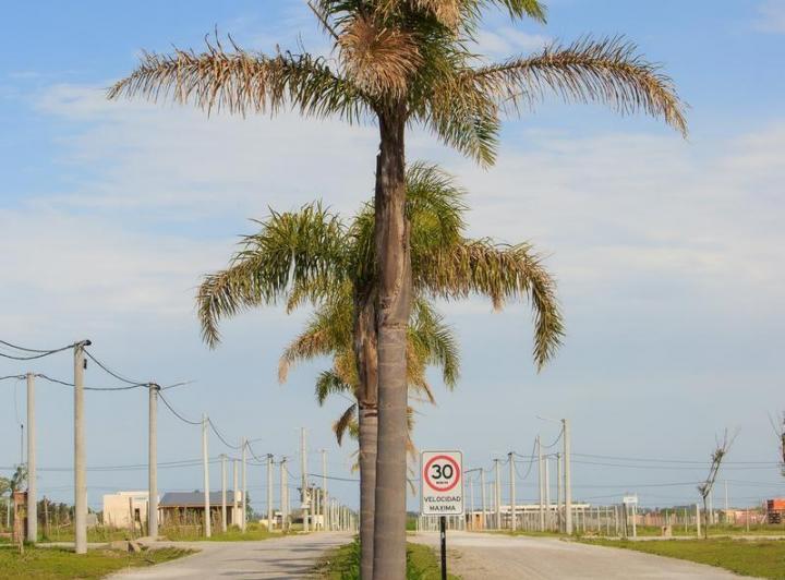 Terreno · 1800m²