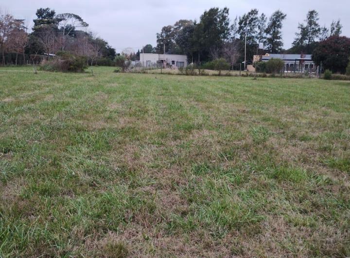 Terreno · 1295m²