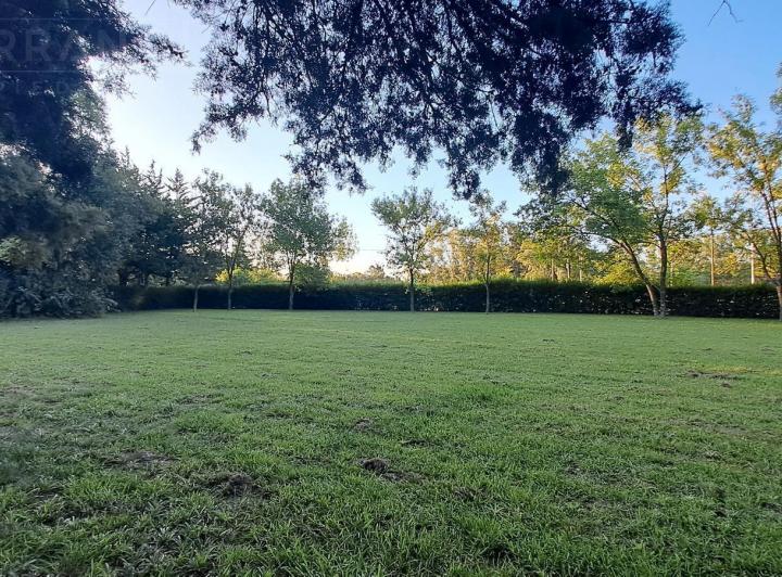 Terreno · 1599m²