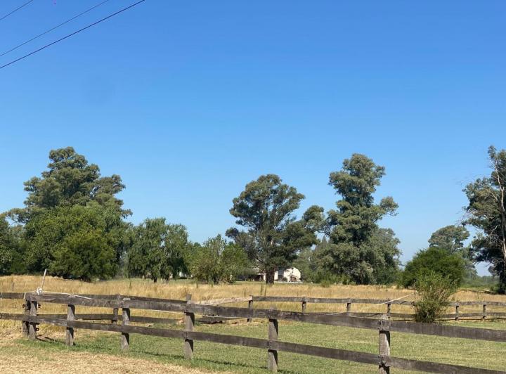 Terreno · 450m²