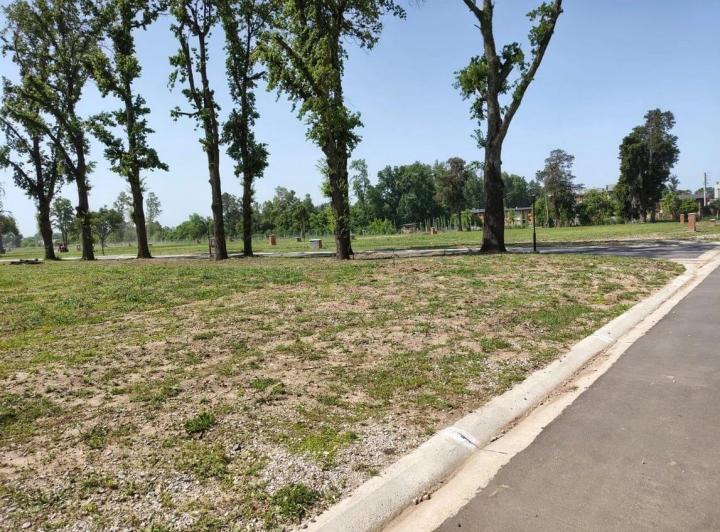 Terreno · 610m²