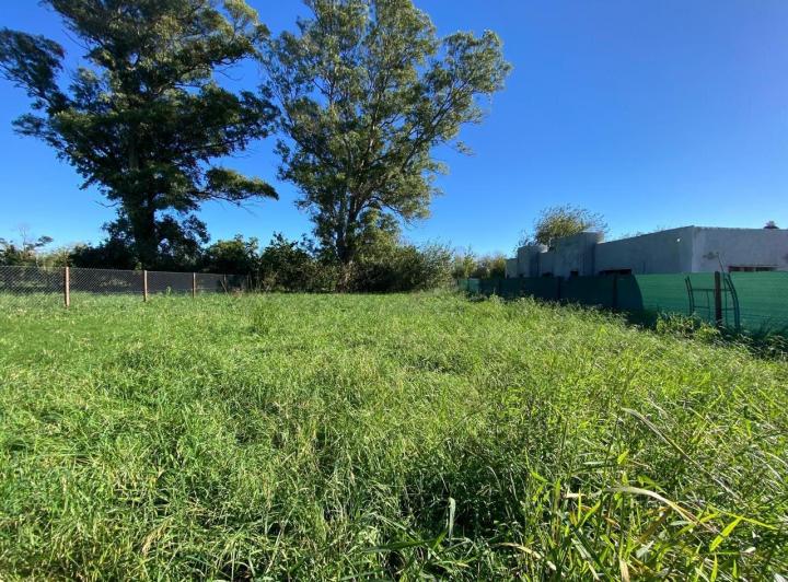 Terreno · 930m²
