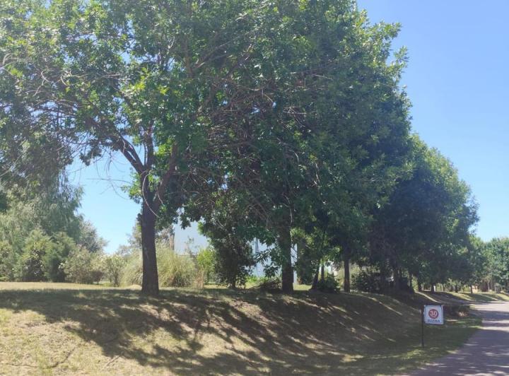 Terreno · 1200m²