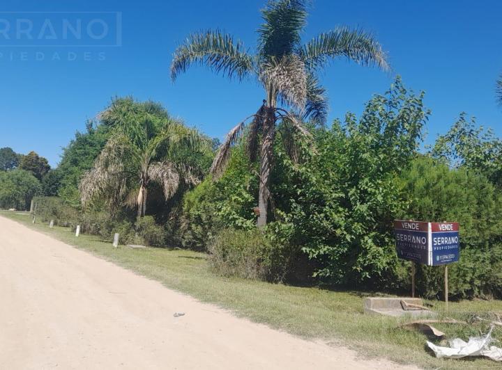 Terreno · 706m²