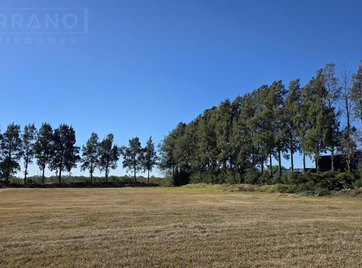Terreno · 1500m²