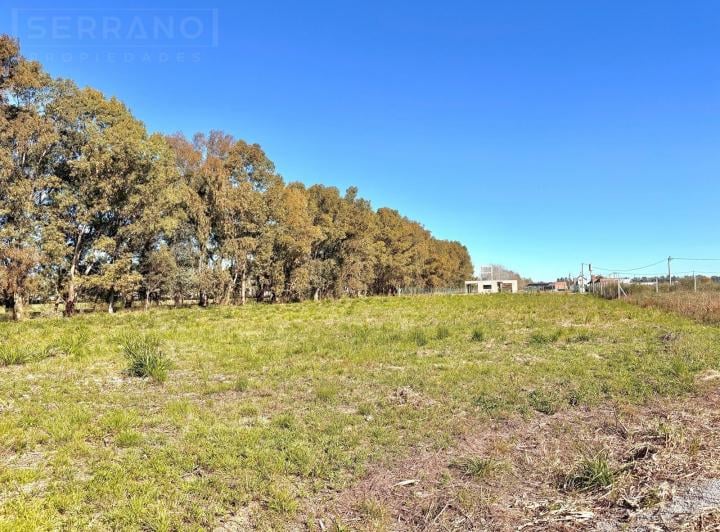 Terreno · 2007m²