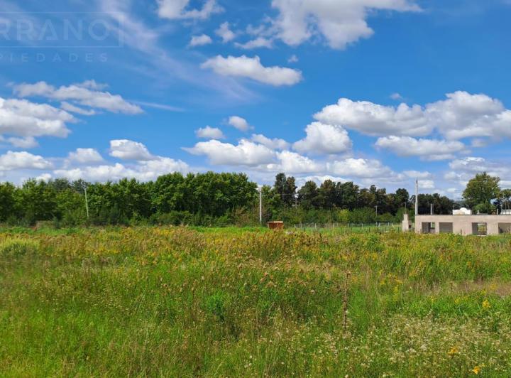 Terreno · 1500m²