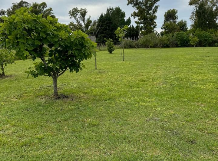 Terreno · 1m²
