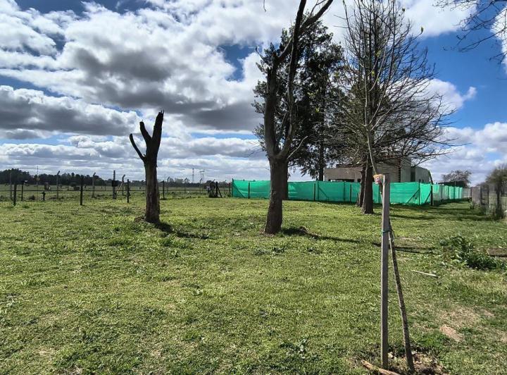 Terreno · 600m²