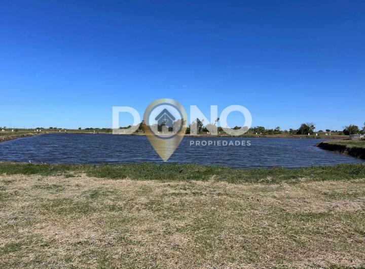 Terreno · 908m²