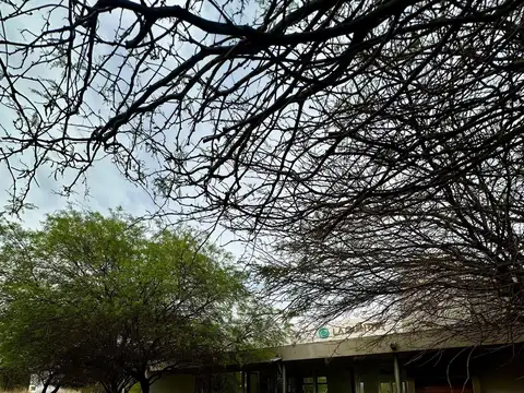 Local comercial en venta ubicado en coronel moldes