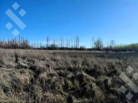 Chacra en cipolletti