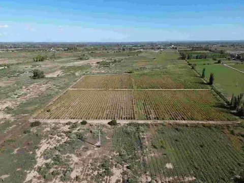Venta finca las heras, mendoza