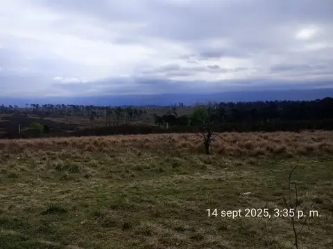 Se vende hermoso campo de 3 ,3 has en yacanto