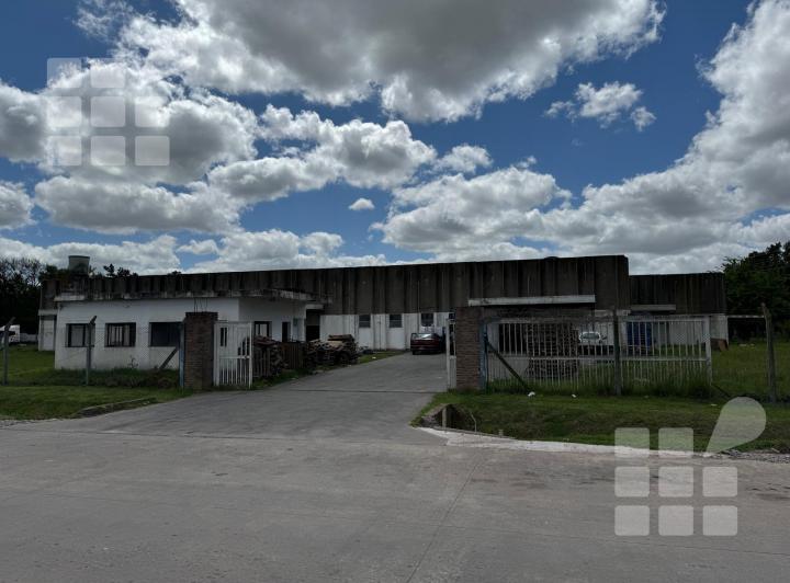 Bodega-Galpón · 4600m²