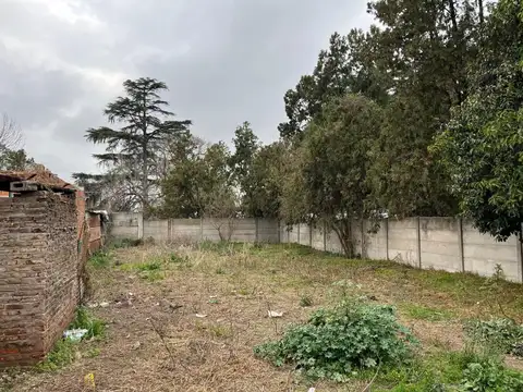 Terreno de 370 en venta en san lorenzo