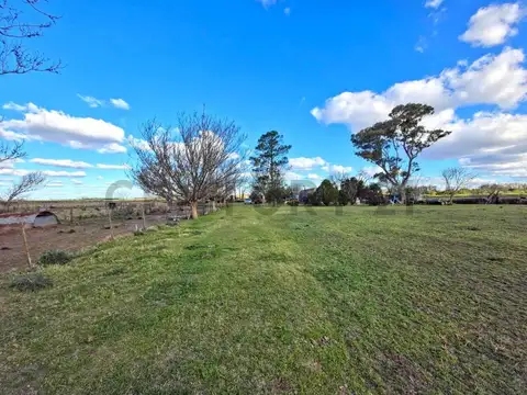 Campo de 25 hectáreas – 11 ha agrícolas + sector ganadero. elortondo
