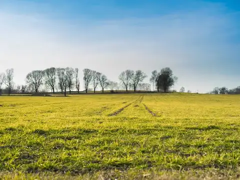 Campo en Venta en Pila, Partido de Pila