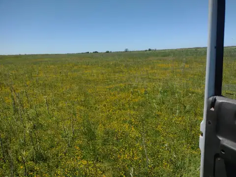 Campo en Venta en Pila, Partido de Pila