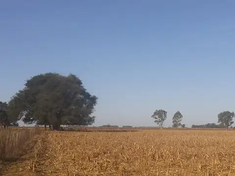 Campo en Venta en Castelli, Partido de Castelli