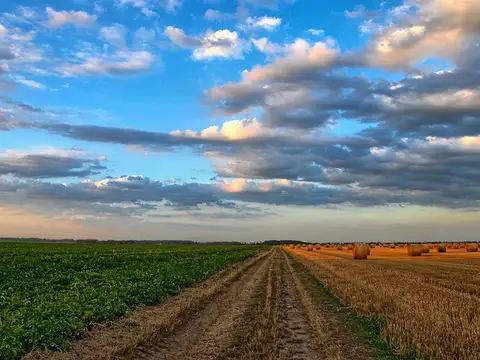 Campo en Venta en Castelli, Partido de Castelli