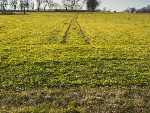 Campo en Venta en Lezama, Partido de Lezama