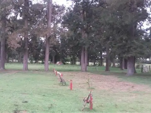 Campo en Venta en Dolores, Partido de Dolores