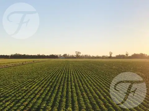 Campo en Venta en San Pedro, Partido de San Pedro
