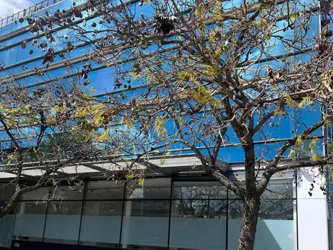 Venta local en esquina | 544 m² | martha salotti y petrona eyle | puerto madero
