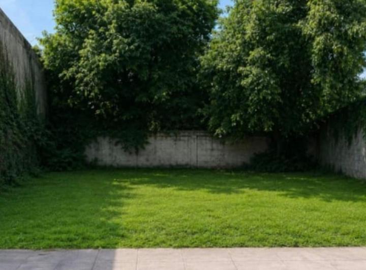 Terreno · 186m²