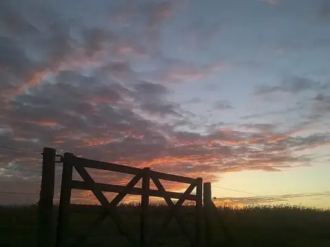 Quinta en Venta en Pila, Partido de Pila