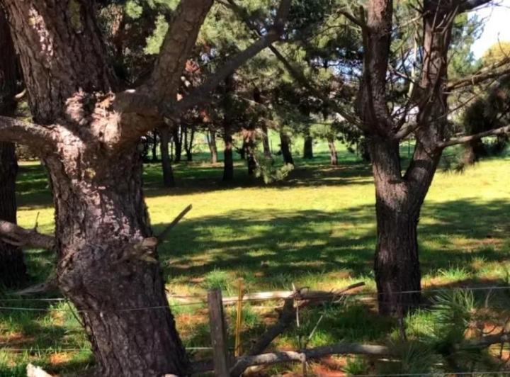 Terreno · 2586m²